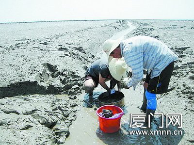 1539588662276295.jpg 20110608113657794247.jpg